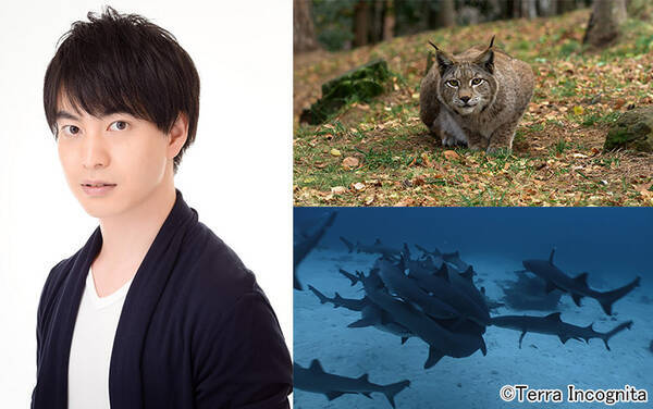 声優 小林裕介が静かに語りかける 動物たちが生きる弱肉強食の世界 2021年3月4日 エキサイトニュース