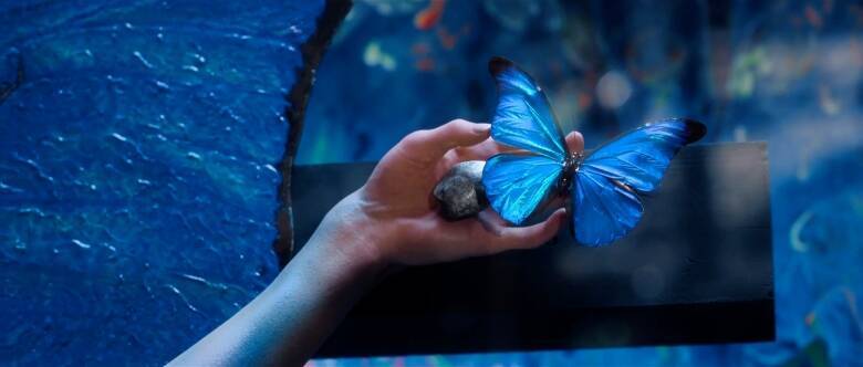 市川染五郎、荒木飛羽、山中柔太朗ら才能豊かな俳優たちが美しくもおぞましい"標本"に...西島秀俊が静かなる狂気を見せる衝撃作「人間標本」