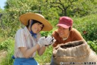 阿部サダヲと菅野美穂が、リンゴの無農薬栽培に挑戦した夫婦の絆を好演！ノンフィクション書籍を基にした映画「奇跡のリンゴ」