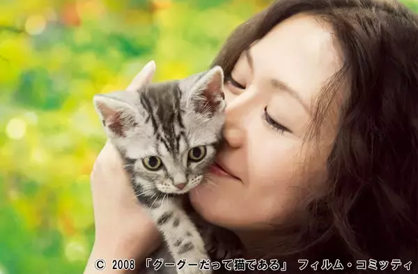 ソバージュヘアで微笑み、猫と戯れる...小泉今日子が自然な佇まいで作り上げた心温まる物語「グーグーだって猫である」