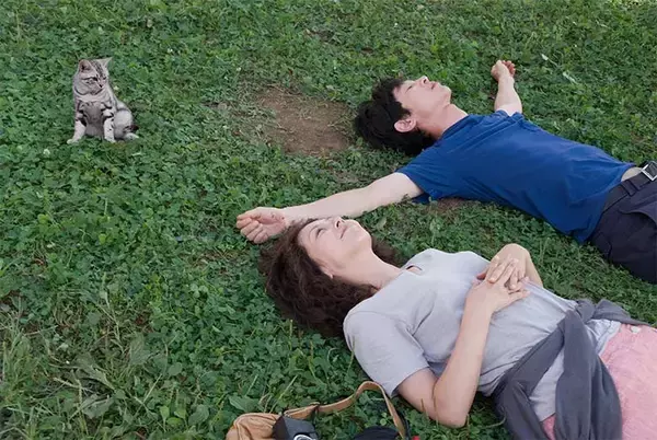 「ソバージュヘアで微笑み、猫と戯れる...小泉今日子が自然な佇まいで作り上げた心温まる物語「グーグーだって猫である」」の画像