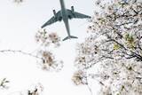「3月外国人宿泊数は前年比1.8%増、2月国籍別では台湾が首位に　ほか：訪日ラボ 今週の注目記事5選」の画像5