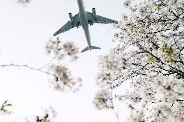 「3月外国人宿泊数は前年比1.8%増、2月国籍別では台湾が首位に　ほか：訪日ラボ 今週の注目記事5選」の画像