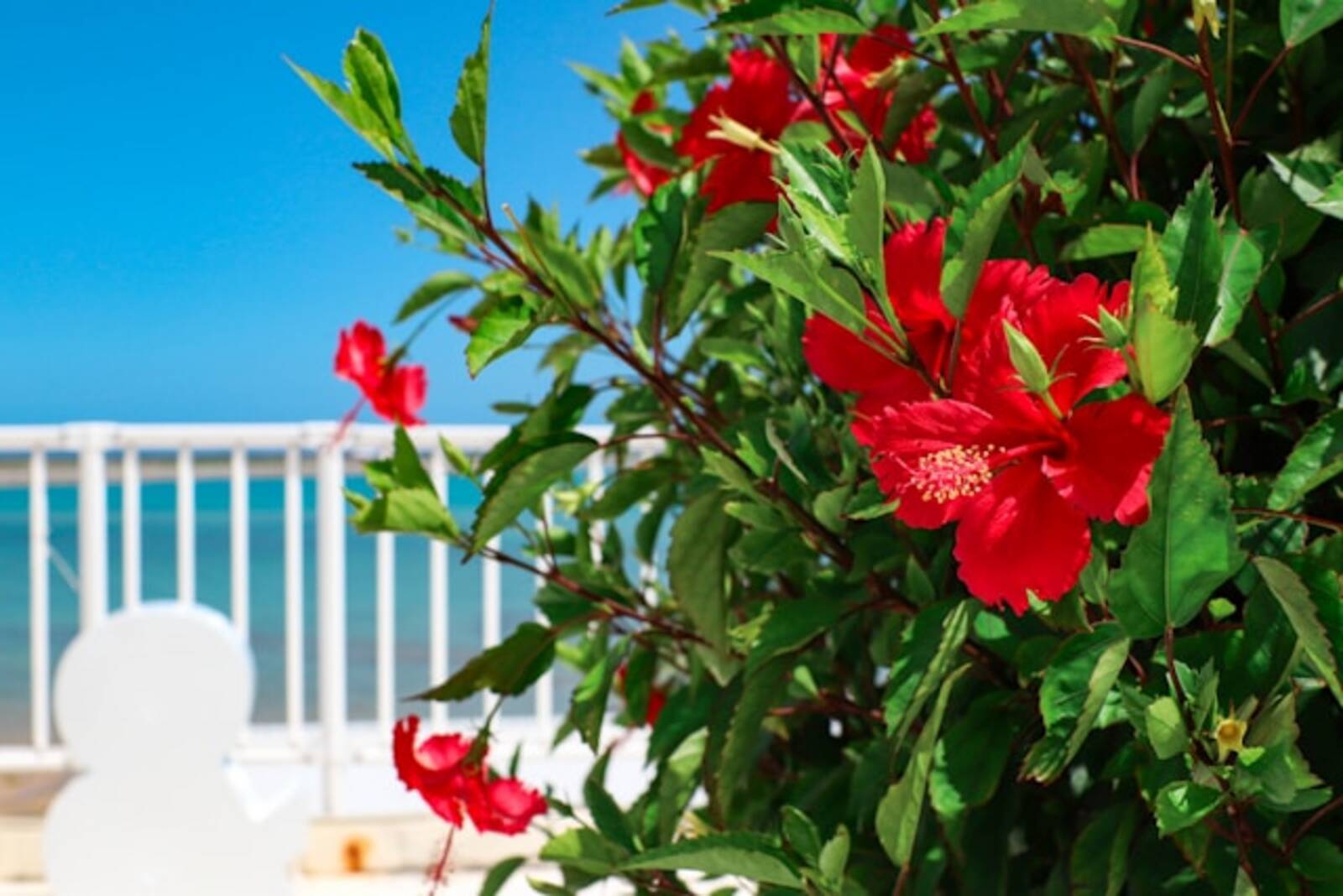 2025年、地方のインバウンド宿泊が好調　JNTOが報告　ほか：訪日ラボ 今週の注目記事5選