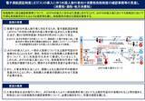 「2027年度観光庁予算概算要求、旅客税引き上げにより過去最大規模の1,905億円に　JESTA導入による免税制度の確認事務見直し要望も」の画像5