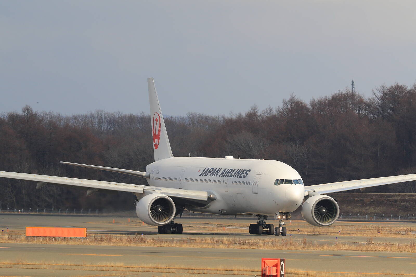 1年後に迫る免税制度見直し、事業者の本音は？ ほか：訪日ラボ 今週の注目記事5選