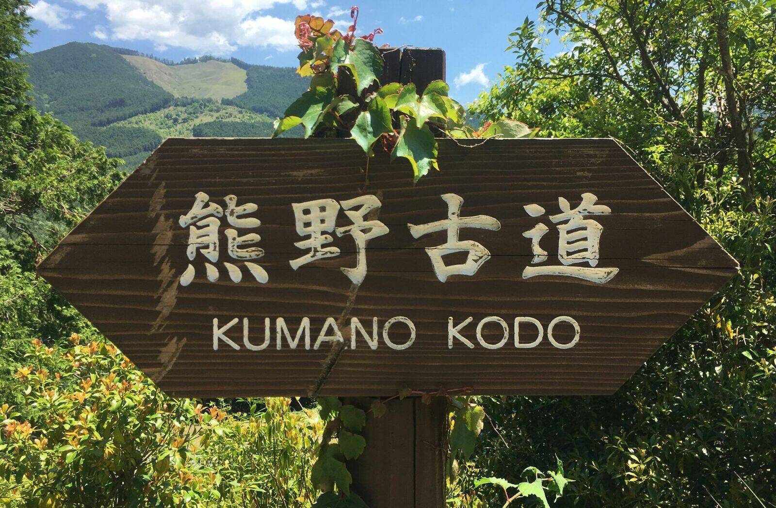 旅行者目線の都市の魅力度、大阪が世界3位に　ほか：訪日ラボ週間アクセスランキング（9月10日～9月16日）