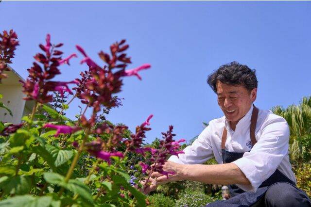 沖縄・宮古島のプライベートクルージングと“自然派琉球イタリアン”を堪能しよう！