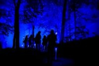 リズムスティックとともに夜の森へ。阿寒湖の森ナイトウォーク「カムイ ルミナ」を開催