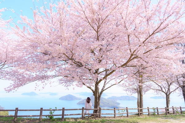 この春は香川 直島が面白い プレミアムな宿の誕生と3年に一度の芸術祭開催 22年3月23日 エキサイトニュース