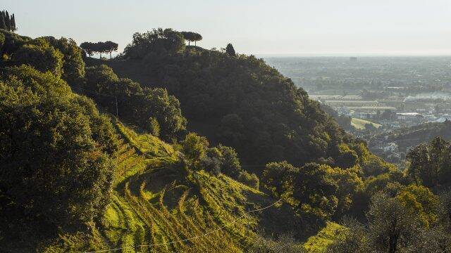 伝統的なイタリア料理とワインを堪能できる「Cucina Diesel Farm」がDIESEL SHIBUYA1階に誕生