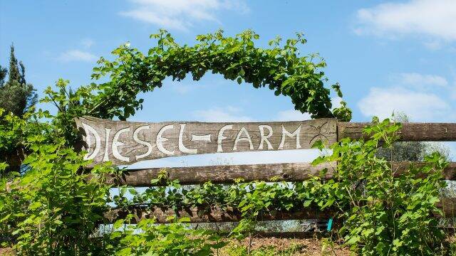 伝統的なイタリア料理とワインを堪能できる「Cucina Diesel Farm」がDIESEL SHIBUYA1階に誕生