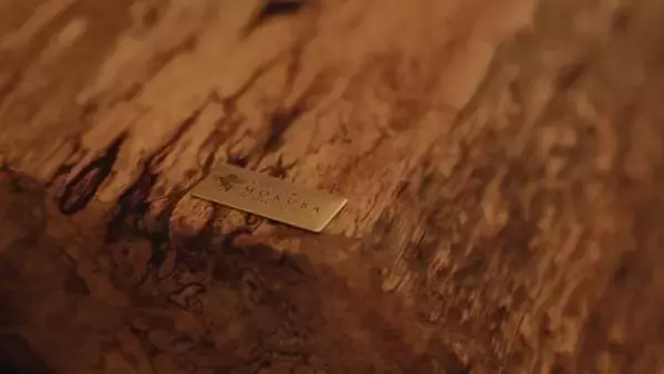 「憧れの一枚板テーブルが集結。国産家具ブランド「ATELIER MOKUBA」のポップアップストア開催」の画像