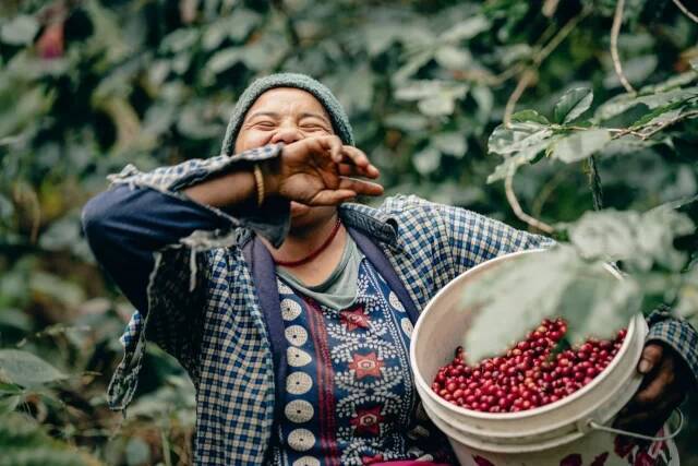 幻のネパール産コーヒー「カトマンズゴールド」が語る物語と、想いをつなぐ一杯