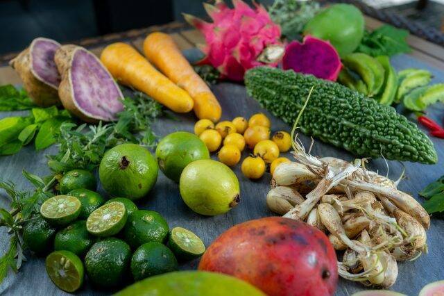 ＜世界が恋する海＞沖縄・座間味島のリゾート「カーヌスバ ザマミ」で味わう琉球食材コース