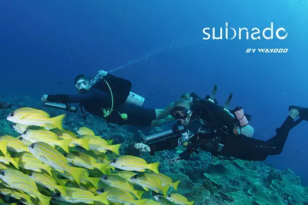 カンパチの群れとも並走できる！水中スマートスクーター「Subnado（サブナード）」が日本初上陸