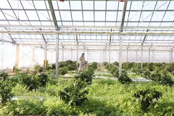 「ウイスキー×コーヒーのマリアージュ！焙煎所が開発した本格フレーバーコーヒー「ダンディズム」」の画像