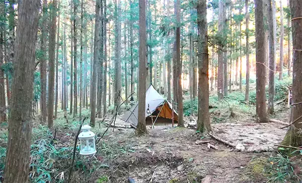 新オープンの「forenta-SAITAMA 嵐山キャンプエリア」を“自分専用のアウトドアフィールド”に