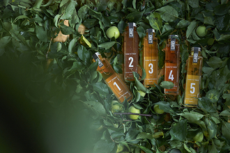 「みなべクラフト梅酒」が新展開！学芸大学に初のフラッグシップ店＆新たなコラボに注目