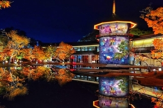 「宮城県松島離宮 紅葉ライトアップ2025 」開催！紅葉と光が織りなす幻想的な松島の夜