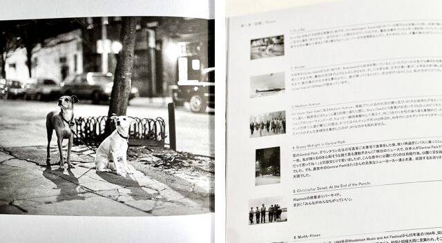 写真家Midori S. Inoue×詩人谷川俊太郎がコラボしたフォト絵本『記憶と空想』が発売