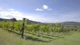 「極上の白ワインが日本初上陸！400年以上続くポルトガル名門ワイナリー「キンタ・ド・モンティーニョ」」の画像2