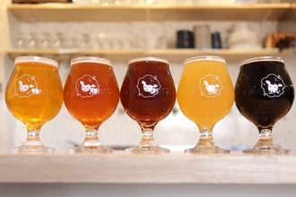 神奈川・新百合ヶ丘で乾杯！関東のクラフトビールを楽しめる「しんゆりビアフェスタ」