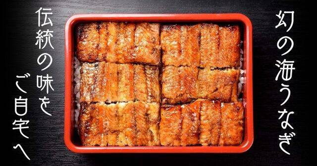江戸時代・天保年間創業の炭焼きうなぎ屋「鶴屋」が、貴重な「海うなぎの冷凍鰻重」を200食限定で発売