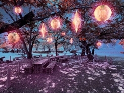 岡山・津山城にて8月～開催、幻想的な光のアートやライトアップで彩る“夏桜”イベント