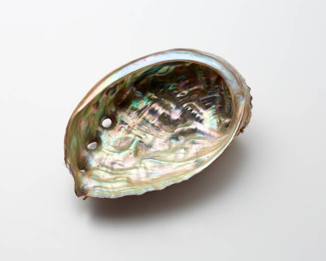 岩手産の漆や貝で表現する世界観。元かんざし職人の螺鈿職人・澤井正道氏の展示会が開催中