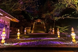 静岡・駿河｜久能山東照宮「光彩−IRODORI−」  夜を彩る国宝ライトアップ体験を楽しむ