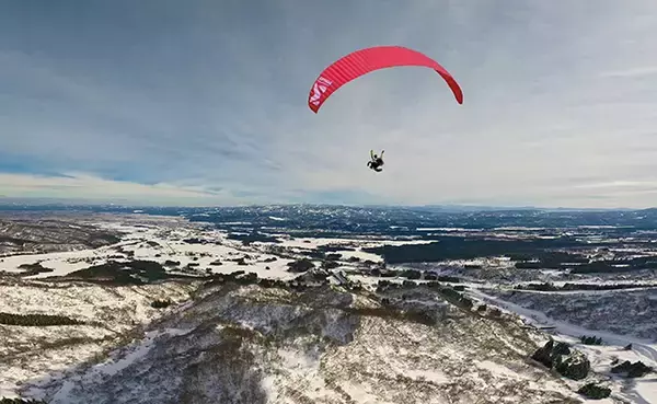 「妙高・アライマウンテンリゾート｜絶景と絶叫を同時に楽しめるジップツアーや空中散歩などに注目」の画像