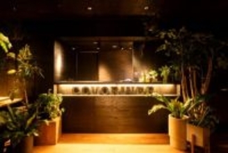 浸かる、蒸らす、リラックス：埼玉で3種の個性的なサウナと水風呂を楽しめる！