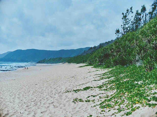 enwonder｜秋の夜長をしっとりと。奄美大島の酒造とコラボしたプレミアムリキュールを限定販売