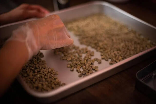 ＃酒ハック｜地中1,000mで樽熟成させたスペシャルティコーヒー「天竜トンネル樽熟成コーヒー」