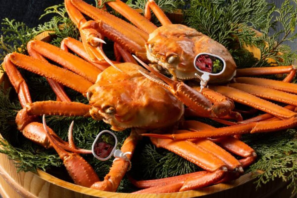 9月1日に漁解禁！「香住蟹」の美味しさを確かめに兵庫・竹野海岸の宿へ行こう (2022年8月12日) - エキサイトニュース