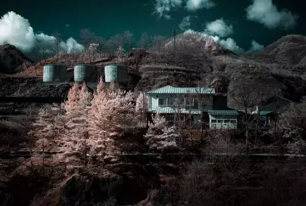 「新宿で“目で見えない赤外線“で照らした世界を具象化した写真展「視覚の陰謀論」開催」の画像