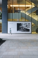 10月は東京駅周辺が写真アートに包まれる！豪華キュレーター陣によるトークプログラムに注目