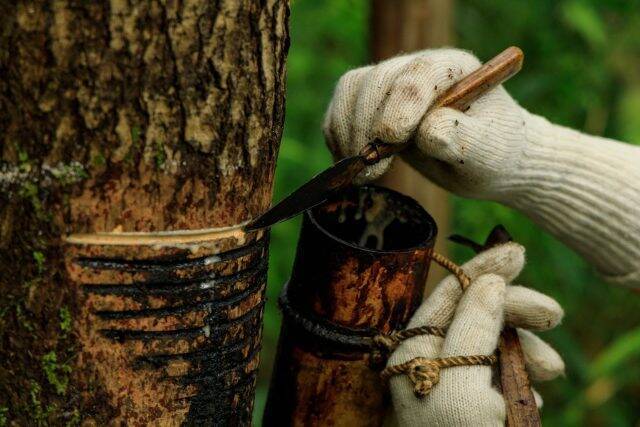 大阪・関西万博｜1300年の伝統を今に伝える「丹波漆」美と実用を備えた逸品を万博で体感