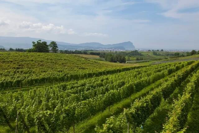 余市のワインと食材を楽しむイベント。「UNWIND HOTEL & BAR 小樽」にて開催