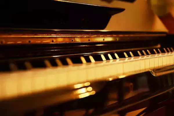 「【静岡・島田】廃校をフルリノベーションしたグランピング施設が3月誕生」の画像