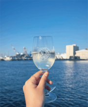 海とワインと音楽。10か国70銘柄のワインと出会える「横須賀ワインフェスティバル2025」