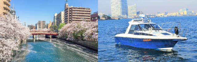 目黒川と大岡川で催行｜花見と「シャンドン ロゼ」を楽しむクルージング