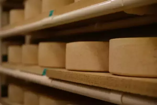 国内チーズコンテストにて最優秀部門賞を受賞！「チーズ工房那須の森」の個性豊かなチーズに注目