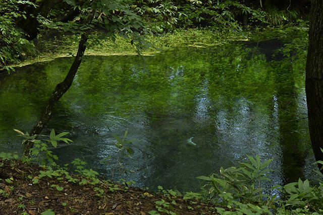 ビールとして日本初の有機JAS取得！東京で飲める、岩手「暁ブルワリー」のオーガニックビール