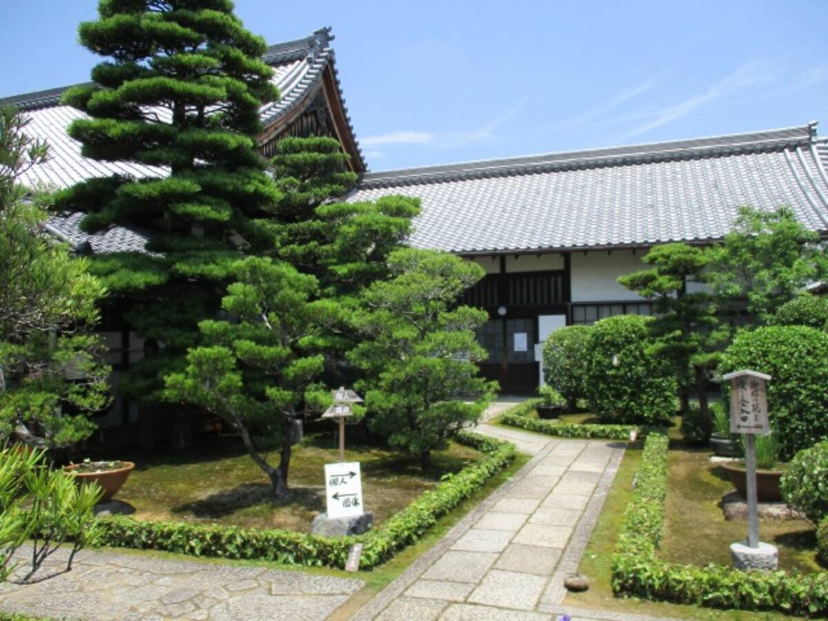 京都 沙羅双樹の寺 東林院 の 沙羅の花を愛でる会 17年6月14日 エキサイトニュース