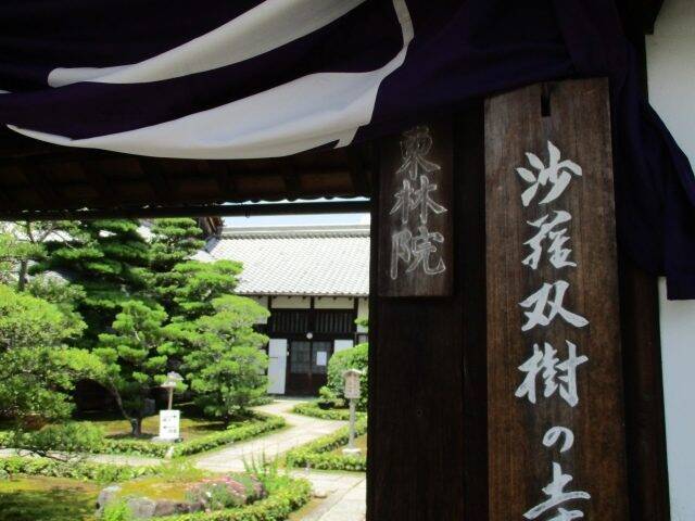 京都 沙羅双樹の寺 東林院 の 沙羅の花を愛でる会 17年6月14日 エキサイトニュース