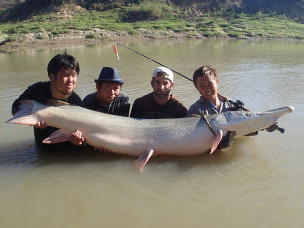 世界の怪魚に挑む 若き怪魚ハンターの冒険記 17年8月16日 エキサイトニュース