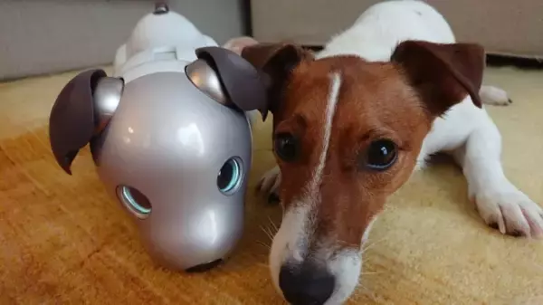 「世界初！犬型ロボットと犬の共生の可能性を探る実験結果がおもしろい」の画像