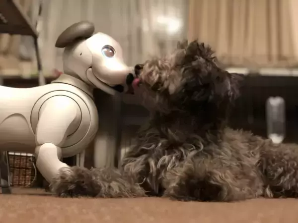 「世界初！犬型ロボットと犬の共生の可能性を探る実験結果がおもしろい」の画像